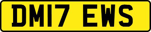 DM17EWS