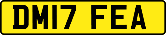 DM17FEA