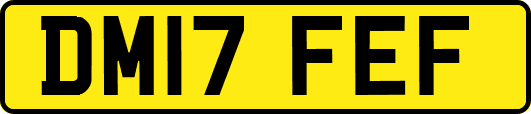 DM17FEF