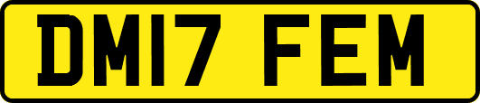 DM17FEM