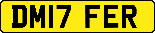 DM17FER