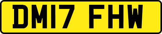 DM17FHW