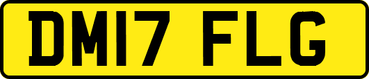DM17FLG