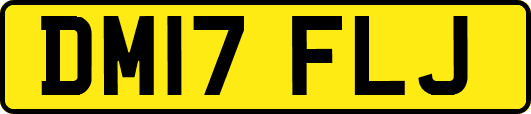 DM17FLJ