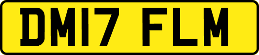 DM17FLM