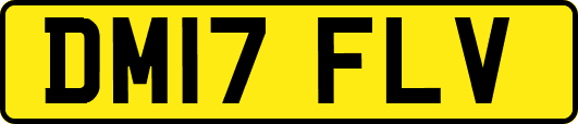 DM17FLV