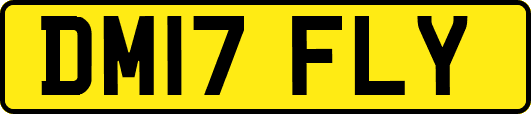 DM17FLY