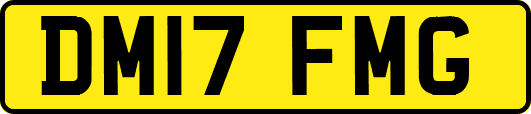 DM17FMG