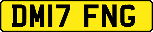 DM17FNG