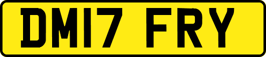 DM17FRY