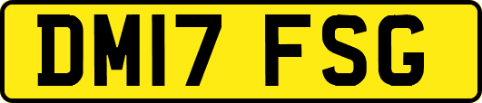 DM17FSG