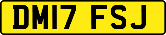 DM17FSJ