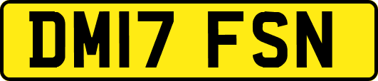 DM17FSN