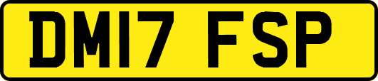 DM17FSP
