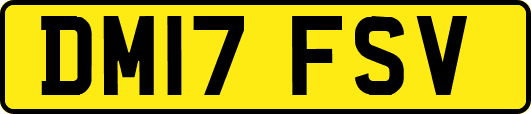 DM17FSV