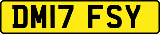 DM17FSY