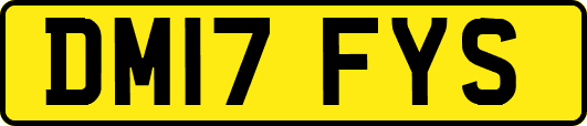 DM17FYS