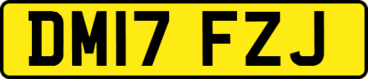 DM17FZJ