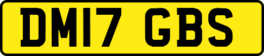 DM17GBS