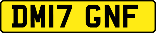 DM17GNF