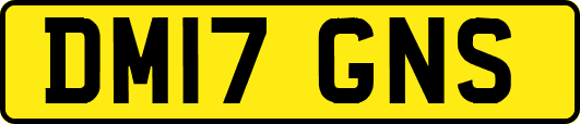 DM17GNS