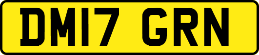 DM17GRN