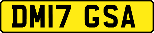 DM17GSA