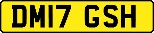 DM17GSH