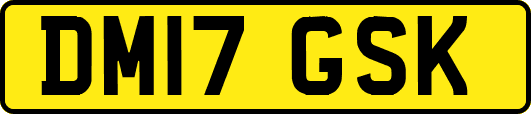 DM17GSK