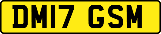 DM17GSM