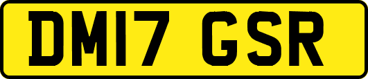 DM17GSR