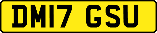 DM17GSU