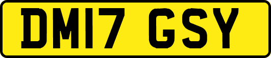 DM17GSY