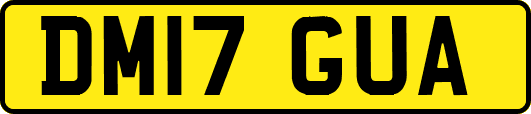 DM17GUA