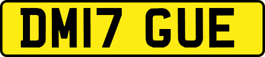 DM17GUE