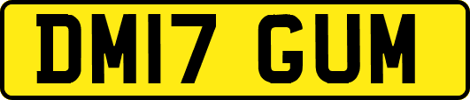 DM17GUM