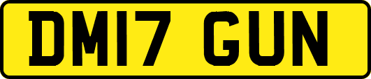 DM17GUN