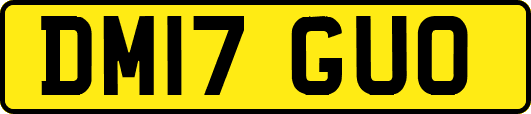 DM17GUO