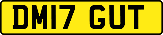 DM17GUT