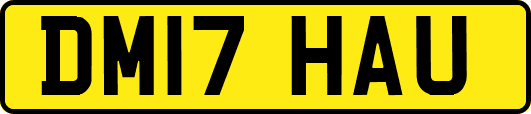 DM17HAU