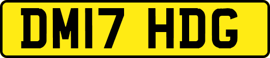 DM17HDG