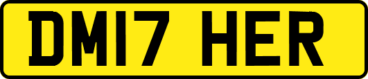 DM17HER
