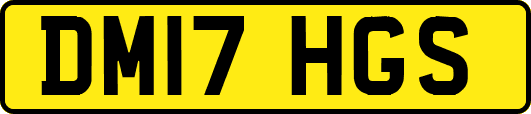 DM17HGS