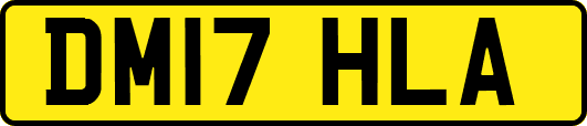 DM17HLA