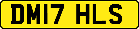 DM17HLS