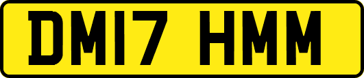 DM17HMM