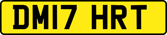 DM17HRT
