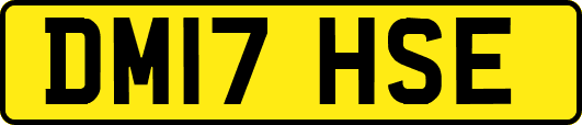DM17HSE
