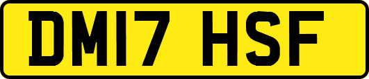 DM17HSF