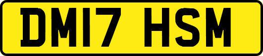 DM17HSM